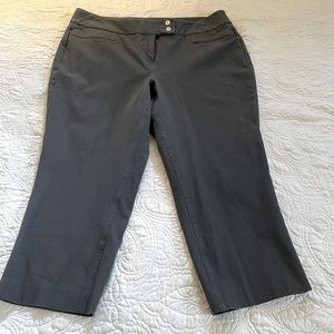 ALFANI Woman Gray Capri 16w